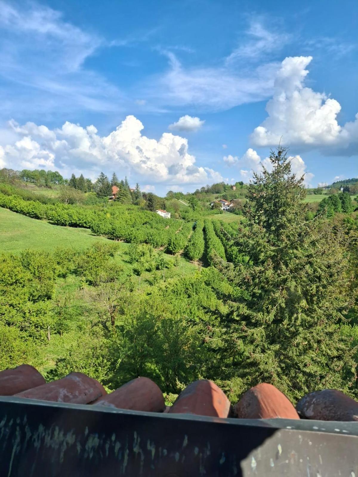 Apartamento Cascina Bringin Mondovì Exterior foto