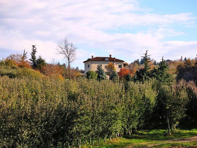 Apartamento Cascina Bringin Mondovì Exterior foto